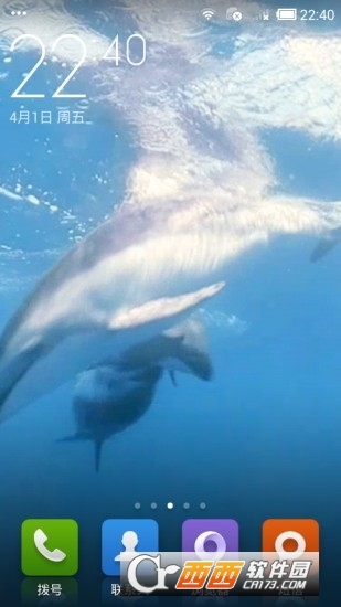 海豚视频动态壁纸apk