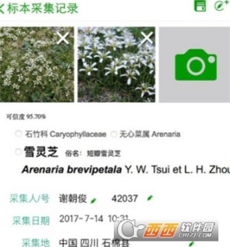中国数字植物标本馆